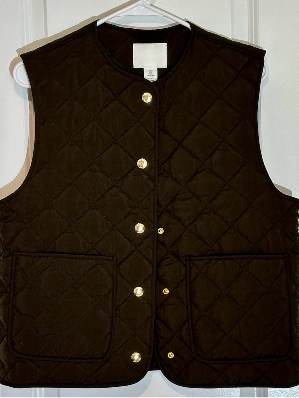 Quilted Sleeveless Button-Front Vest - Brown